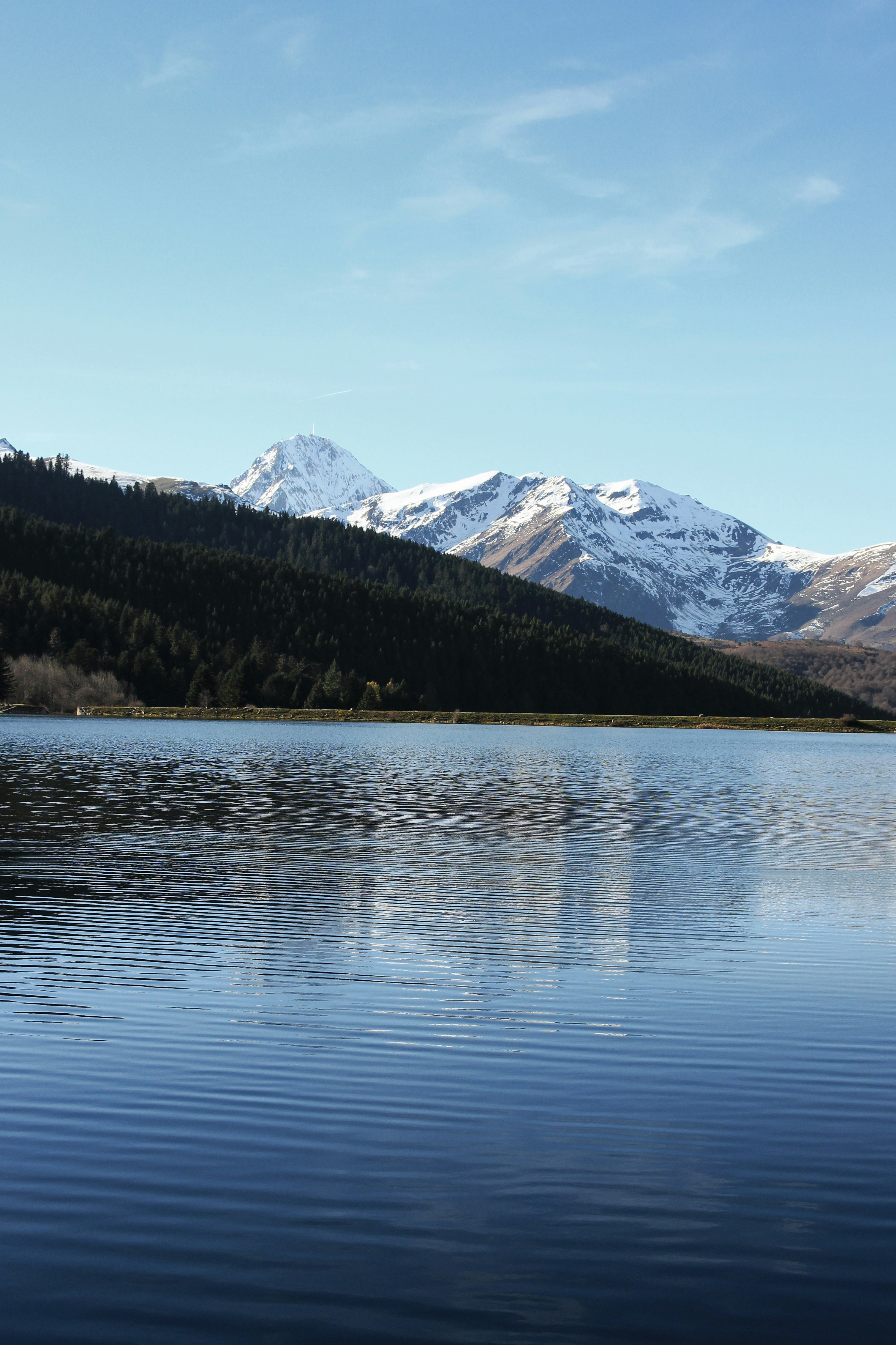 lake in forest